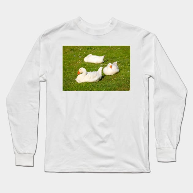 geese Long Sleeve T-Shirt by Kruegerfoto